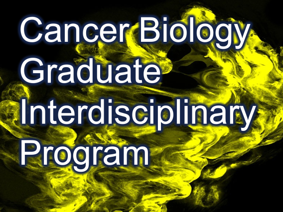 Macro Cell Image with Cancer Biology Graduate Interdisciplinary Program written over it