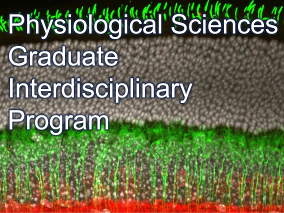Physiological Sciences Graduate Interdisciplinary Program written over a microscope image