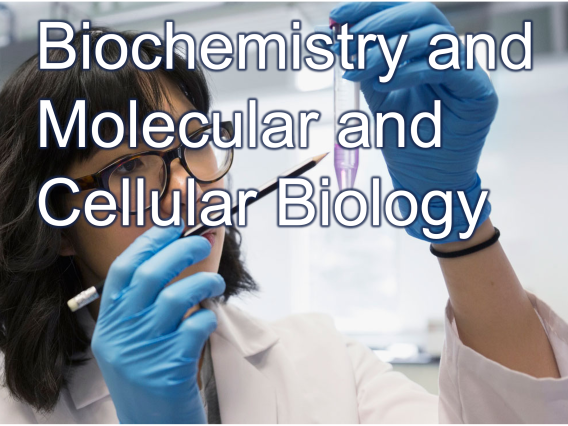 Biochemistry and Molecular and Cellular Biology written with a close up of a student in lab in background
