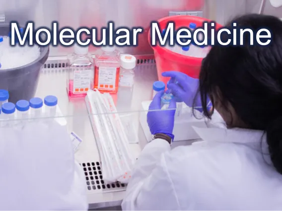 Molecular Medicine written on image of student working in fume hood