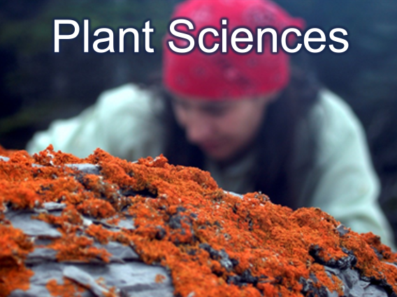 Plant Sciences written over close up image of orange lichen